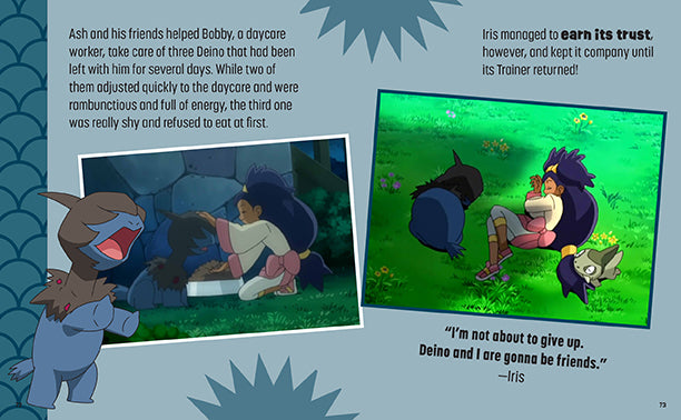 Pokemon: Trainer's Mini Exploration Guide to Unova