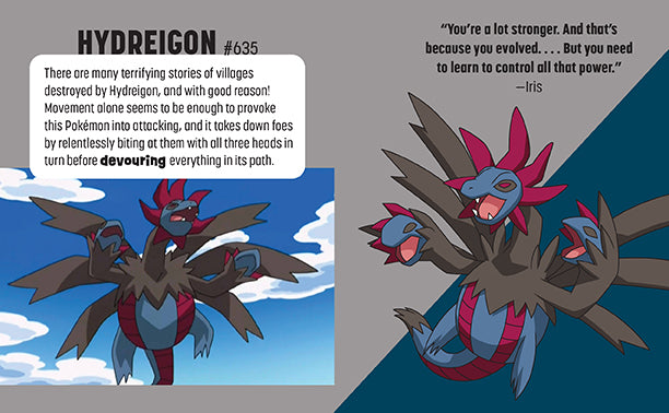 Pokemon: Trainer's Mini Exploration Guide to Unova