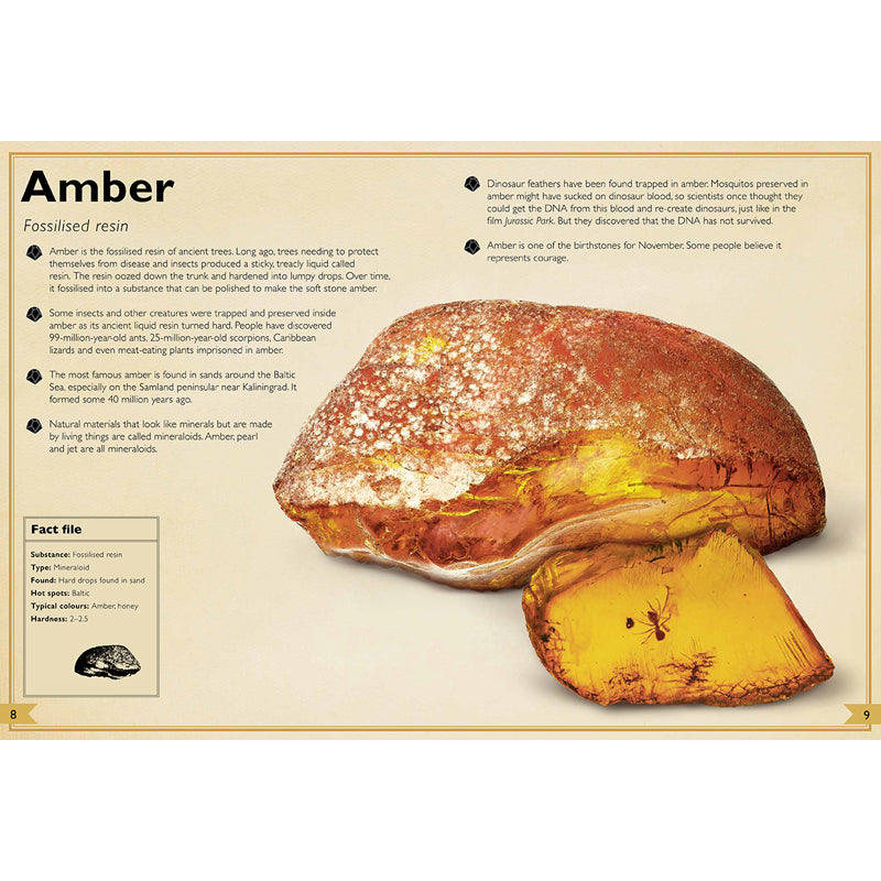 The Magnificent Book of Rocks and Minerals