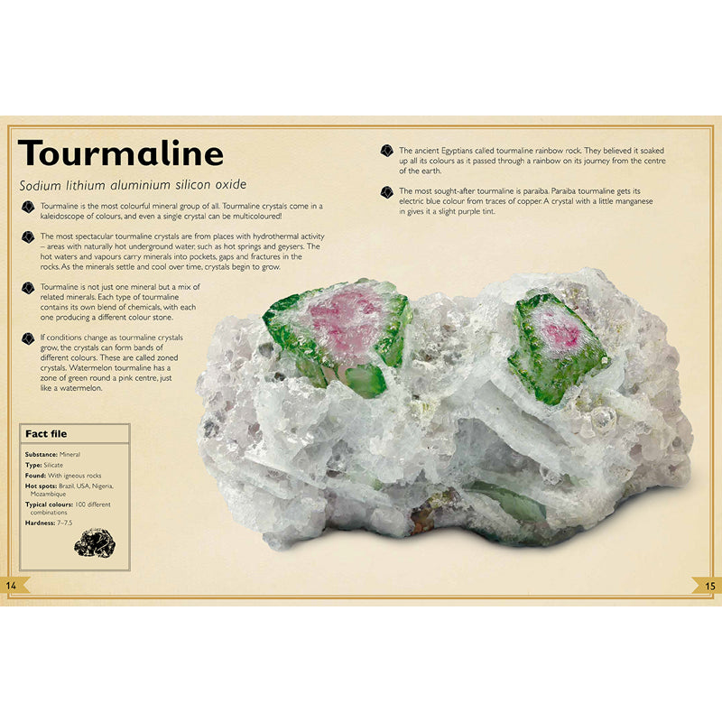 The Magnificent Book of Rocks and Minerals