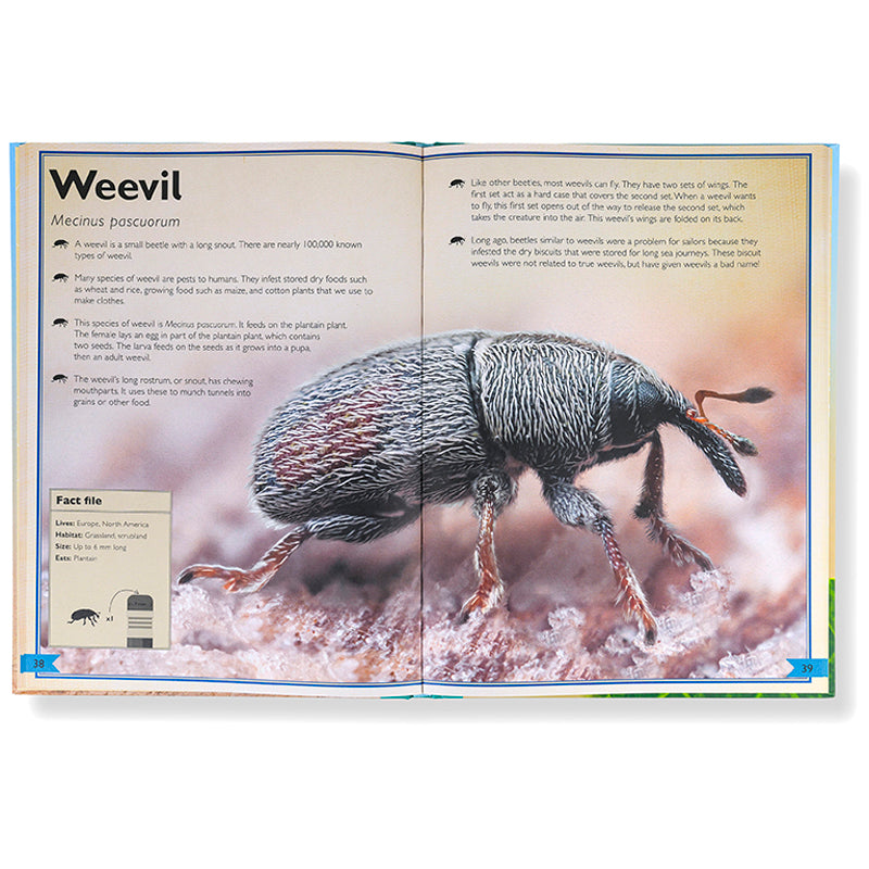 The Magnificent Book of Microscopic Creatures