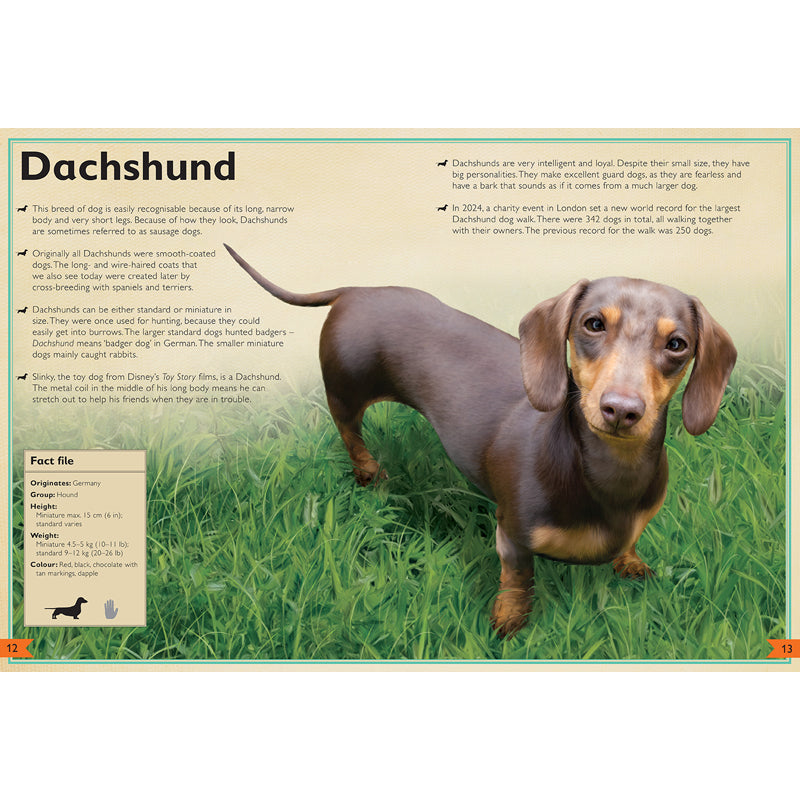 The Magnificent Book of Dogs