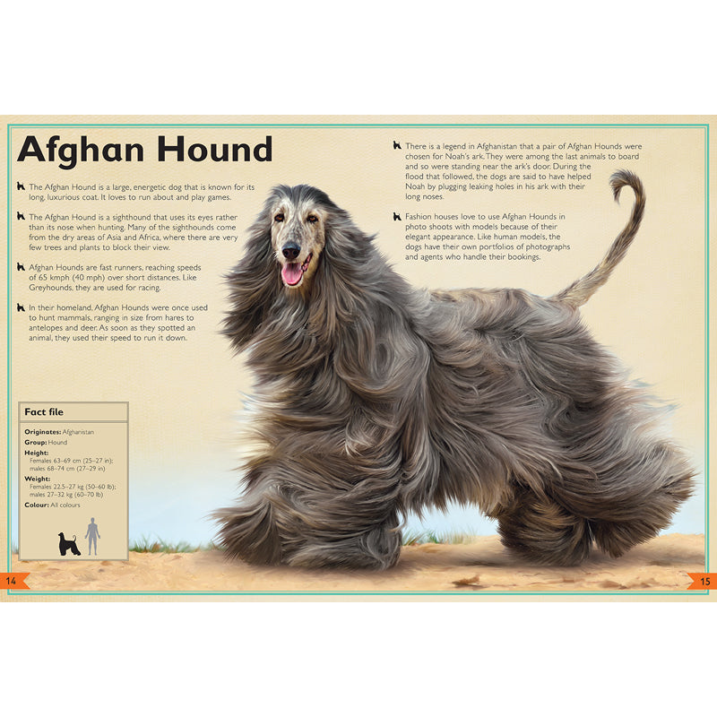 The Magnificent Book of Dogs