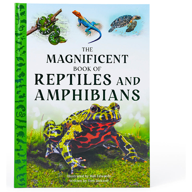 The Magnificent Book of Reptiles and Amphibians