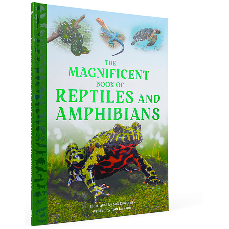 The Magnificent Book of Reptiles and Amphibians
