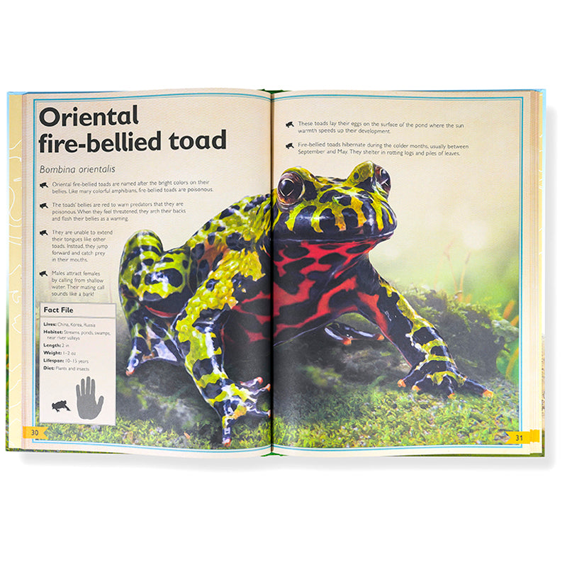 The Magnificent Book of Endangered Animals