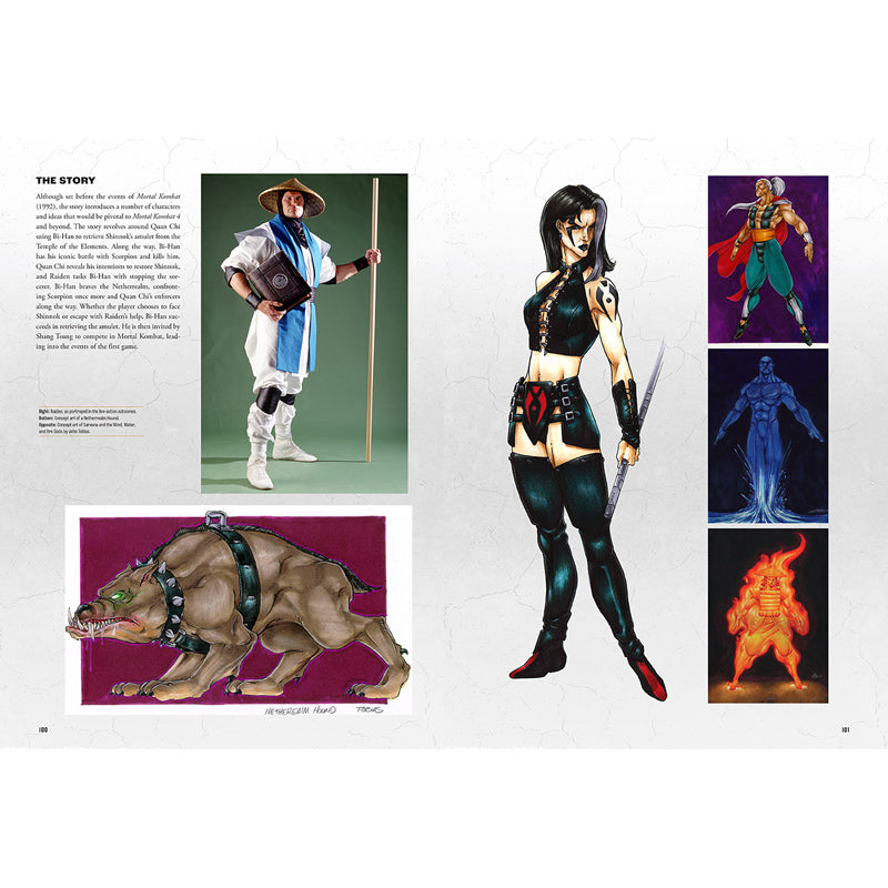 Mortal Kombat: Flawless Victory