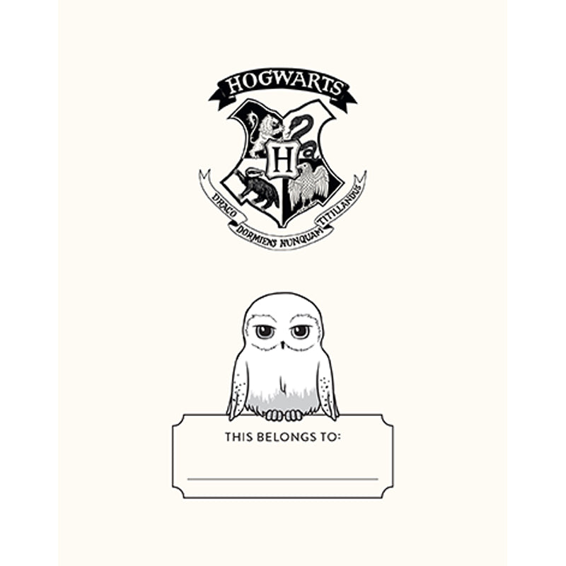 Harry Potter: Hedwig Squishy Lock & Key Diary