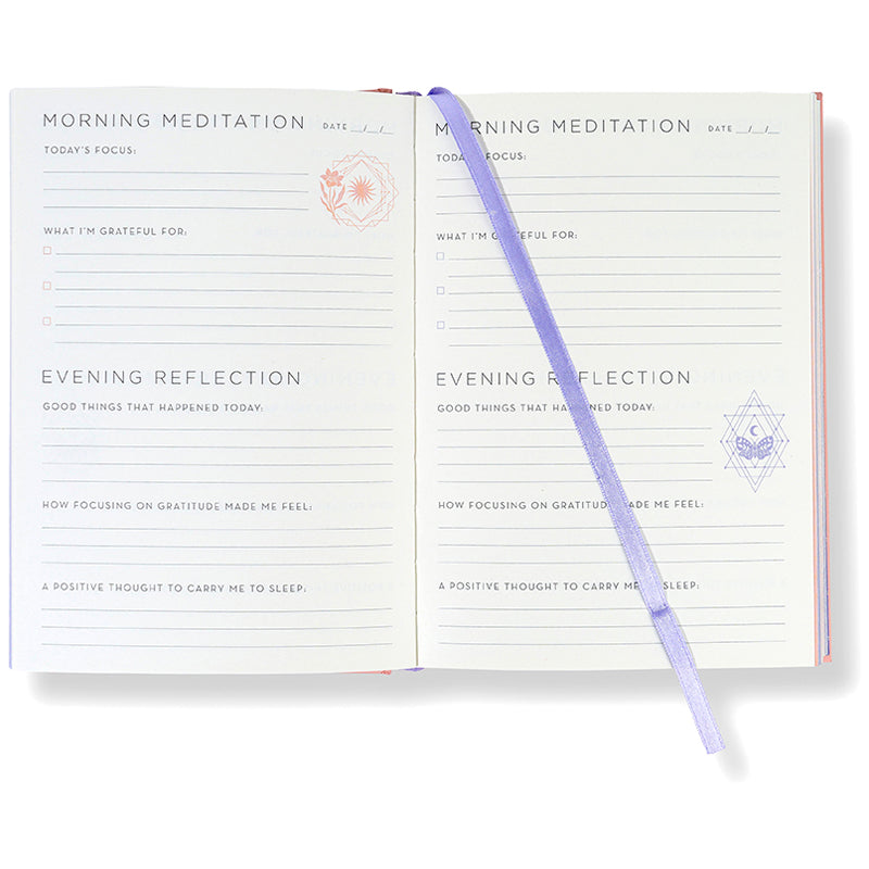 365 Days of Gratitude