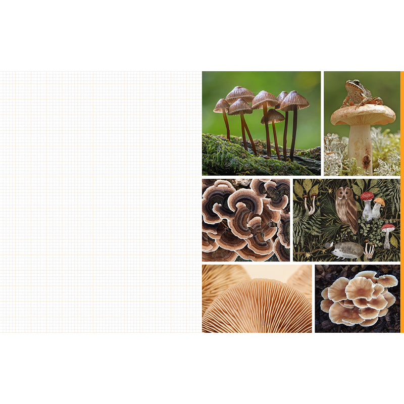 Cut and Collage Mushrooms and Fungi