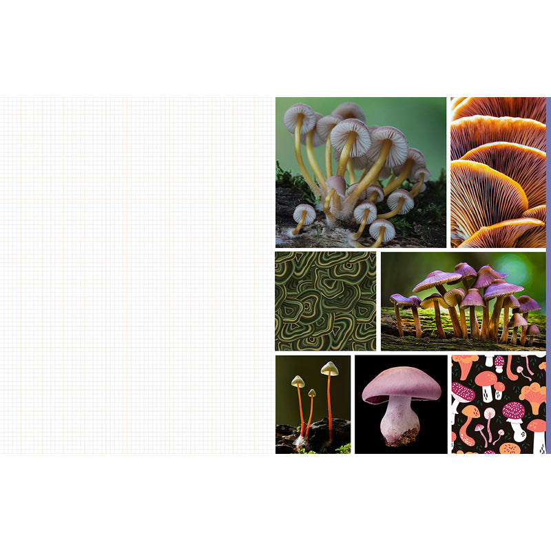 Cut and Collage Mushrooms and Fungi