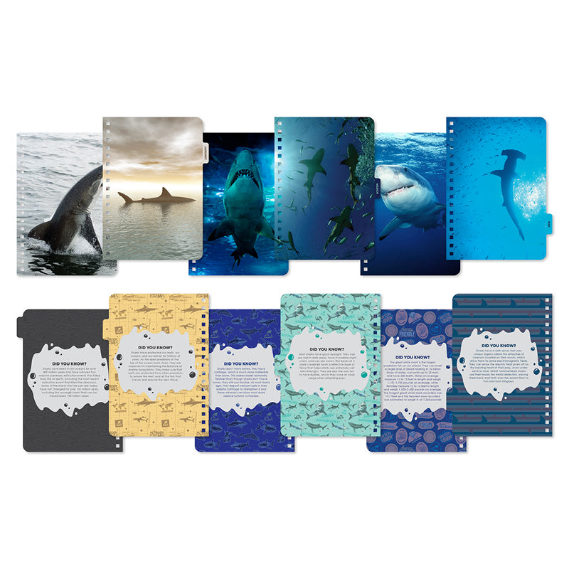 2026 Shark Week 13-Month Weekly Planner