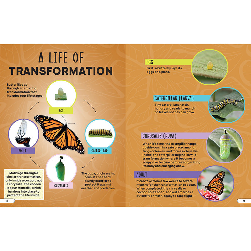 Smithsonian Explores: Bugs and Insects