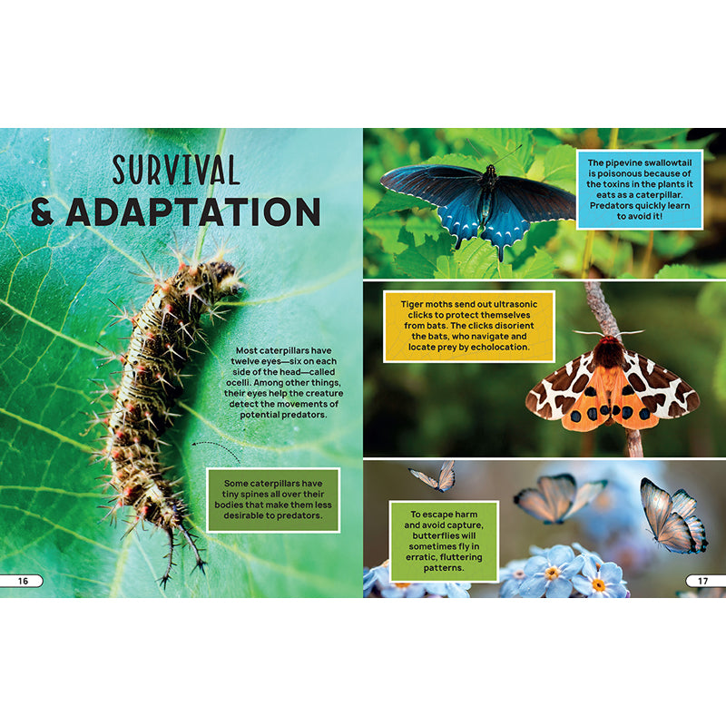 Smithsonian Explores: Bugs and Insects