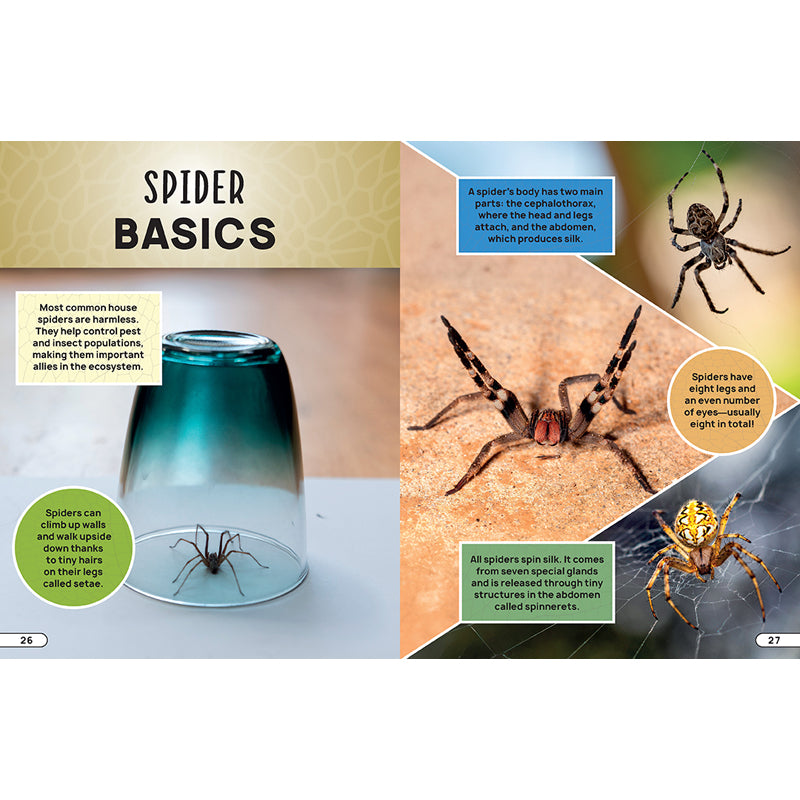 Smithsonian Explores: Bugs and Insects