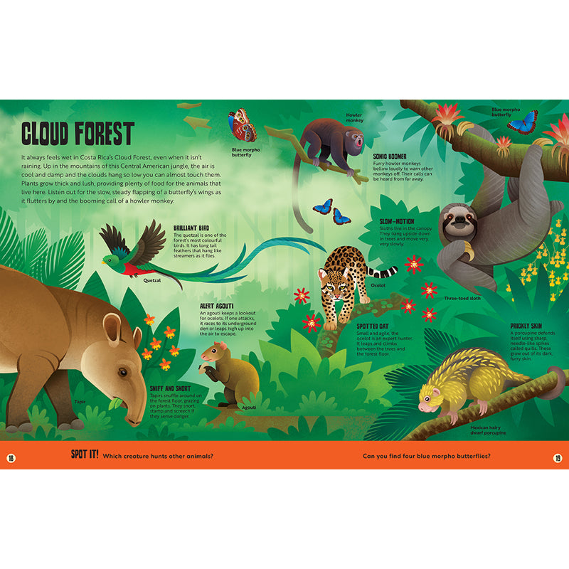 My First Jungle Atlas