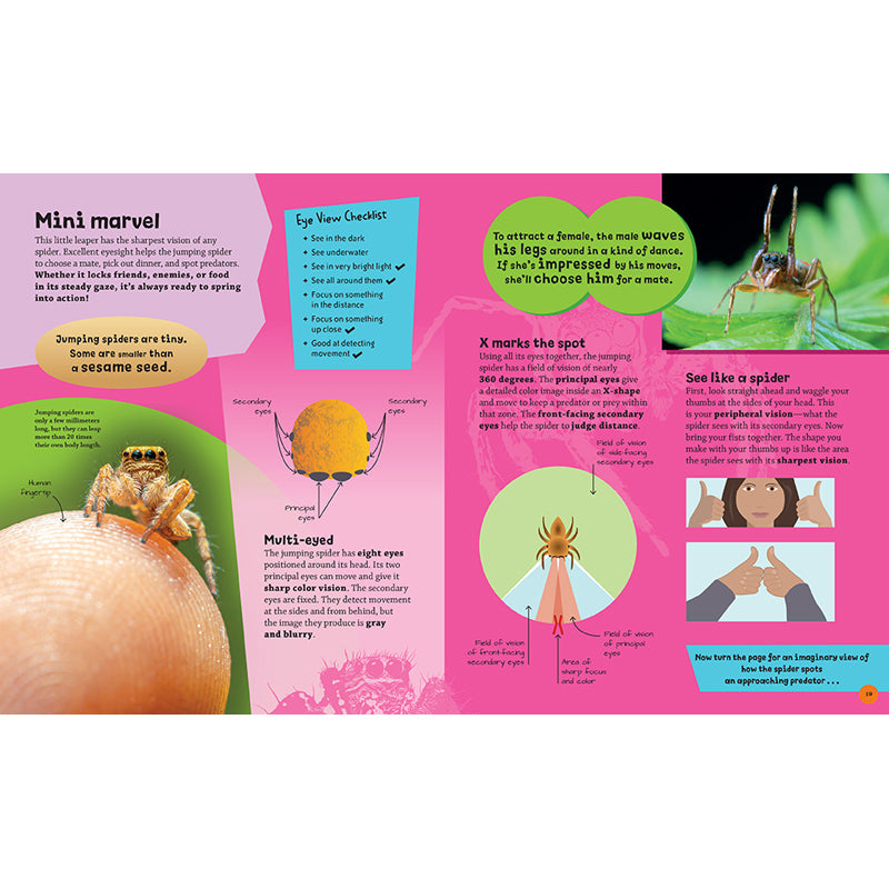 Eye View: Bugs and Other Tiny Creatures