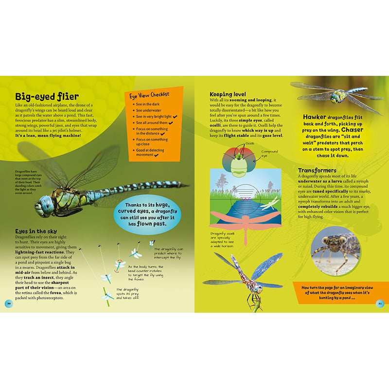 Eye View: Bugs and Other Tiny Creatures