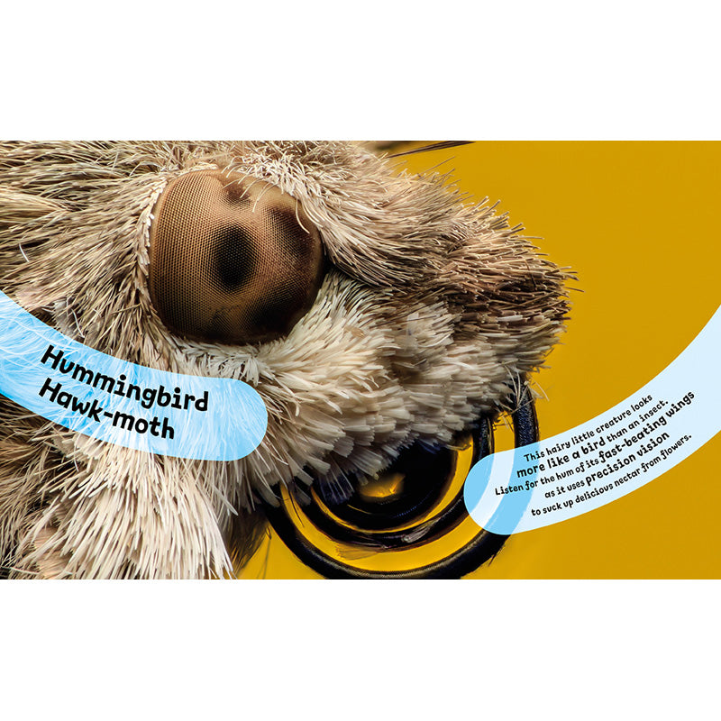 Eye View: Bugs and Other Tiny Creatures