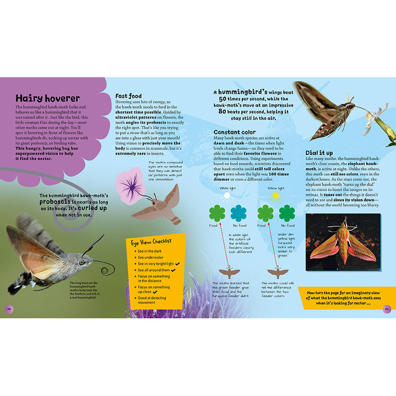 Eye View: Bugs and Other Tiny Creatures