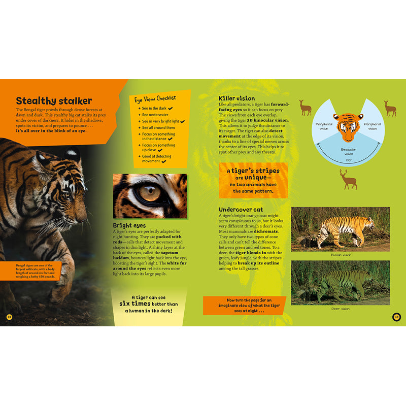 Eye View: Jungle Animals