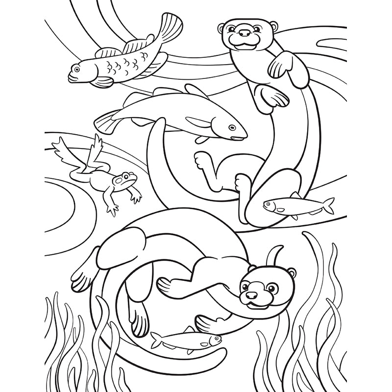 Sticker by Number: Woodland Animals