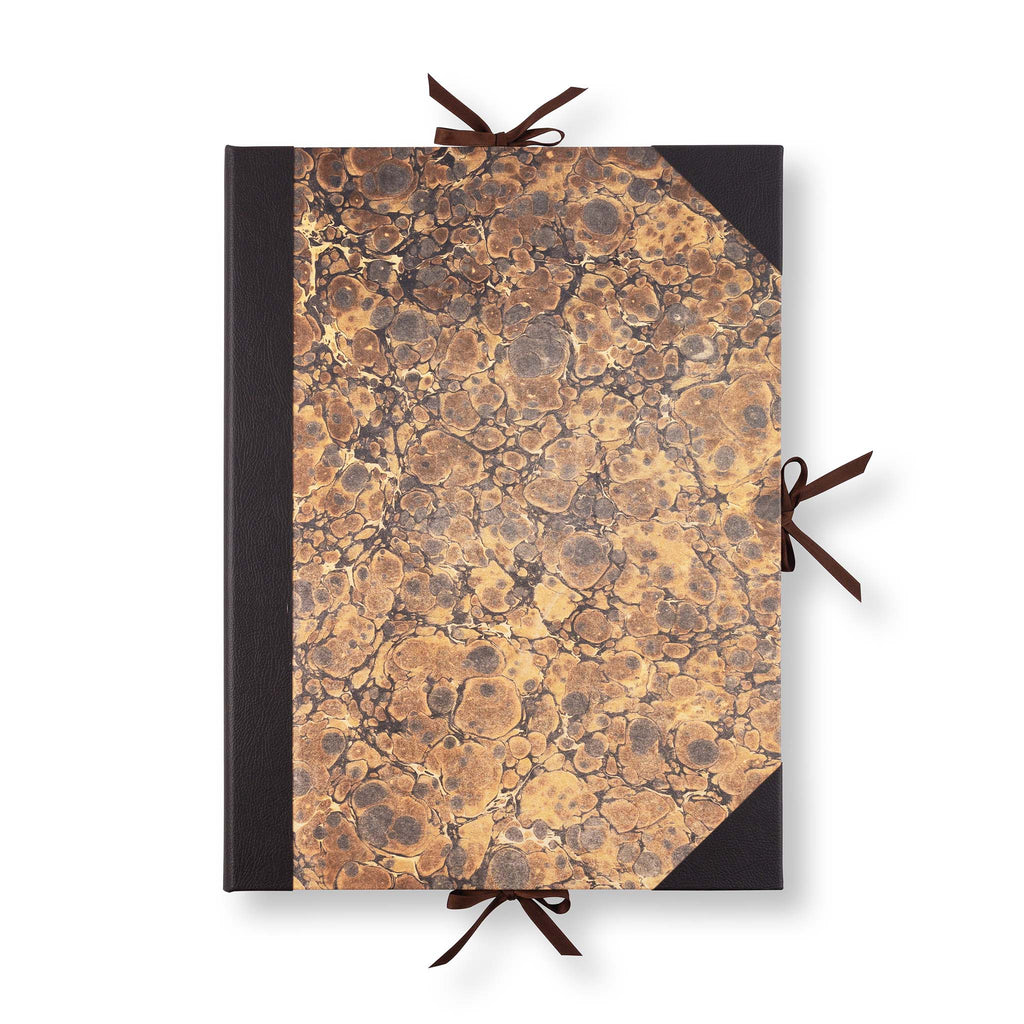 Frankenstein: Portfolio Edition [Collector's Edition]