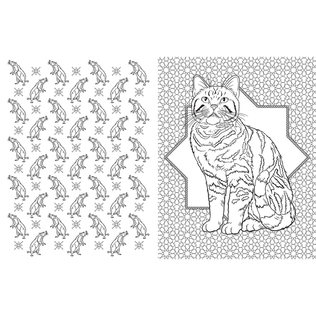 Harry Potter: Magical Creatures Coloring Book