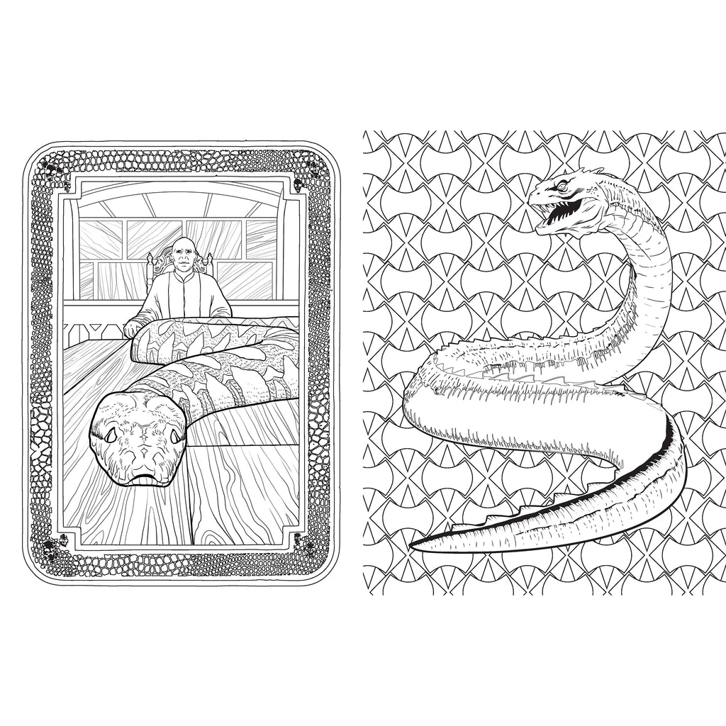 Harry Potter: Magical Creatures Coloring Book