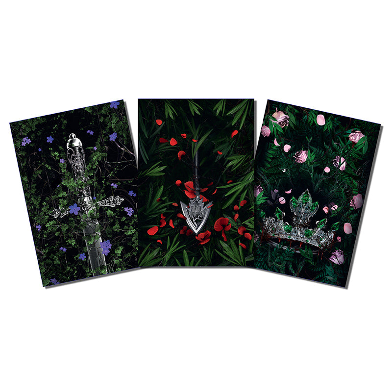 Lauren Roberts: Powerless Trilogy Notebook Boxed Set (Set of 3)