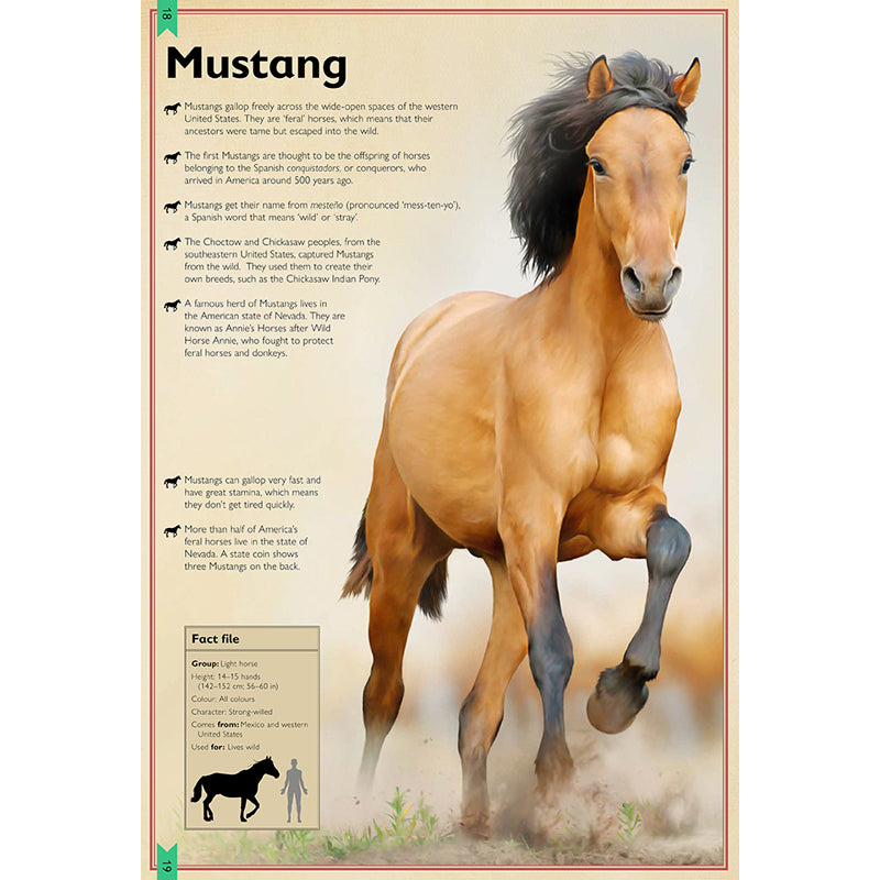 The Magnificent Book of Horses