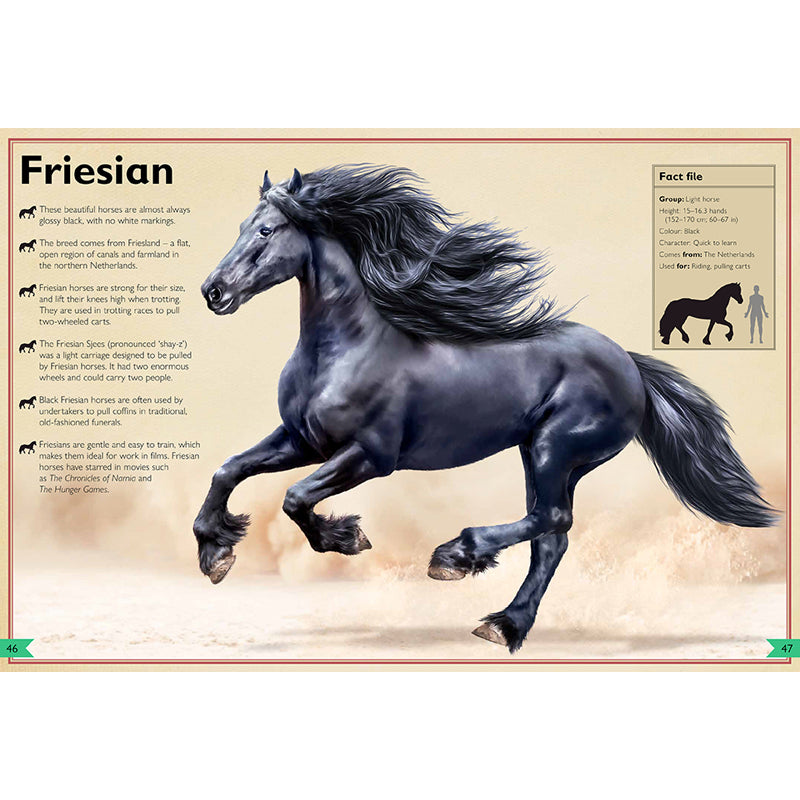 The Magnificent Book of Horses