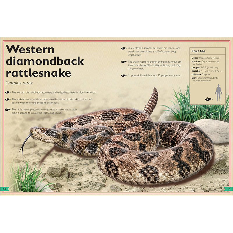 The Magnificent Book of Dangerous Animals