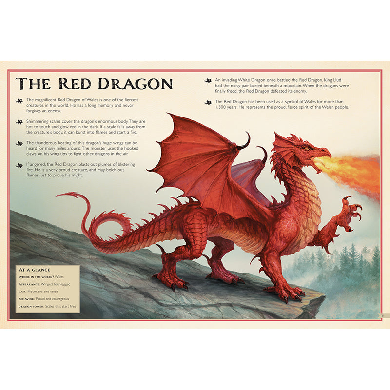 The Magnificent Book of Dragons