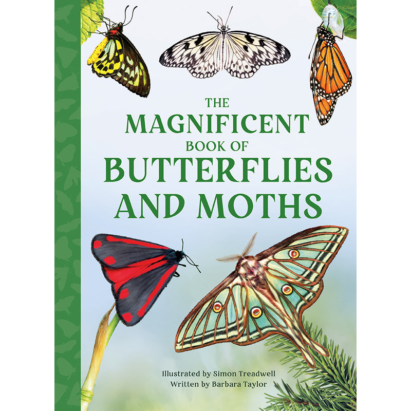 The Magnificent Book of Butterflies & Moths