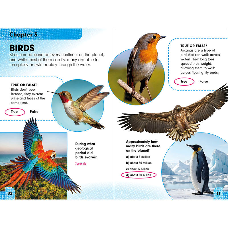 Sneaky Facts: Animal Kingdom