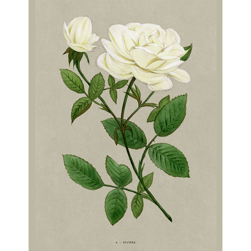 Vintage Castle Wall Collage Kit