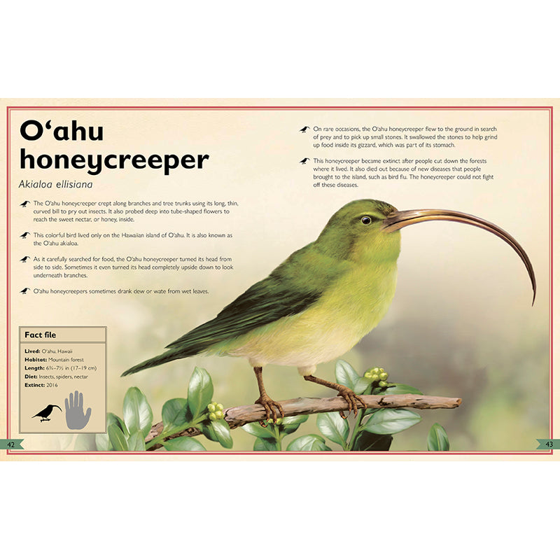 The Magnificent Book of Extinct Animals