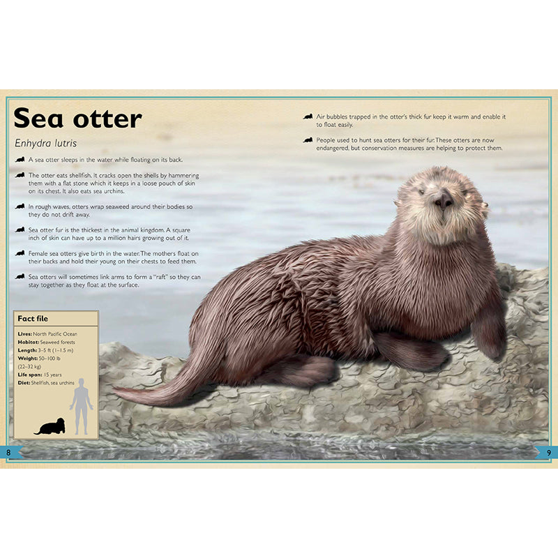 The Magnificent Book of Ocean Creatures