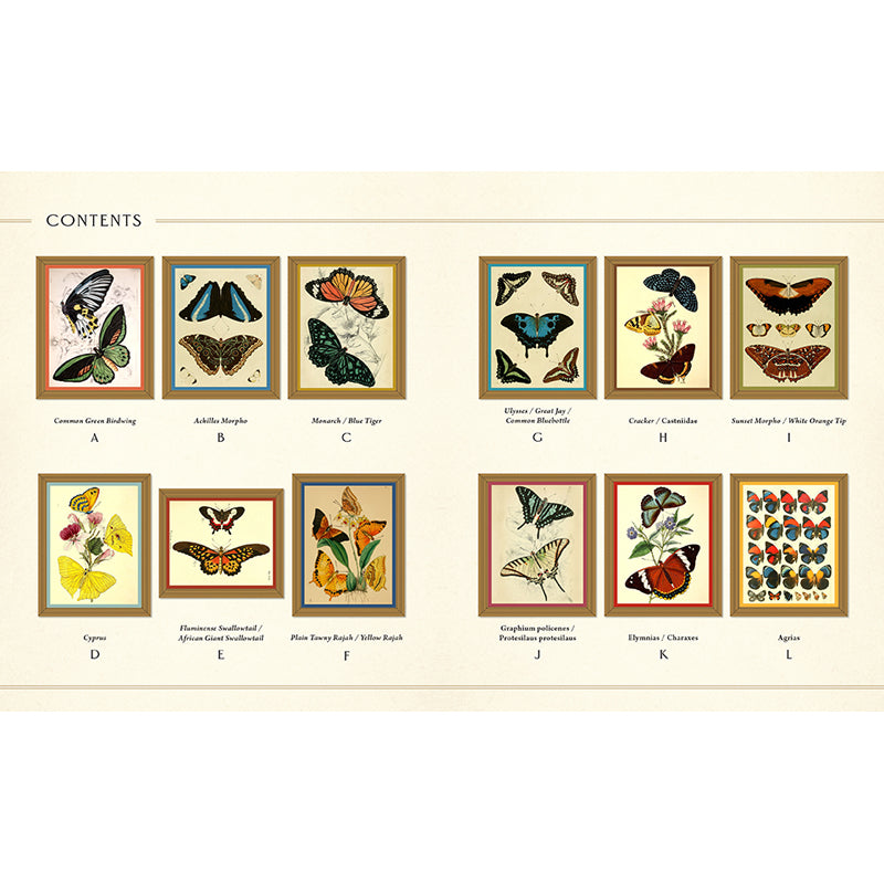 Museum Mosaics: Butterflies of the Smithsonian