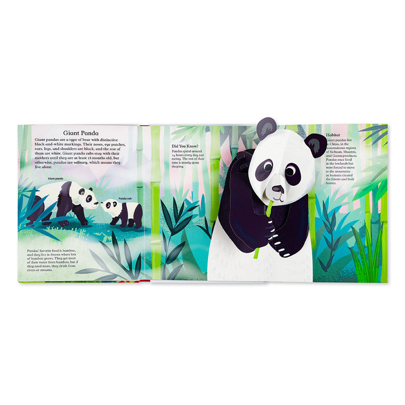 Pop-Up and Discover: Animals