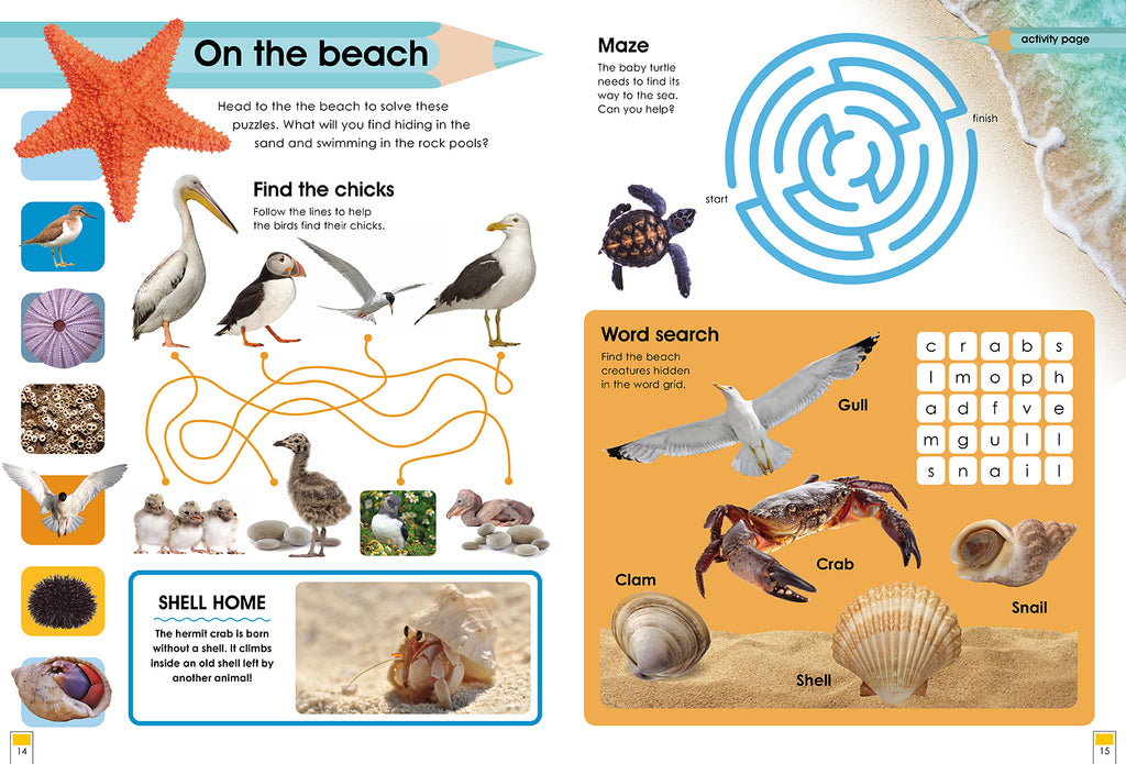 Habitats and the Animals Who Live in Them