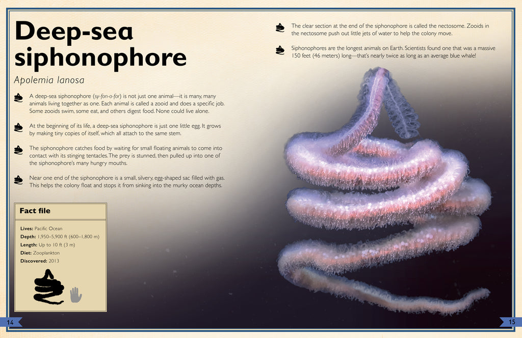 The Magnificent Book of Creatures of the Abyss