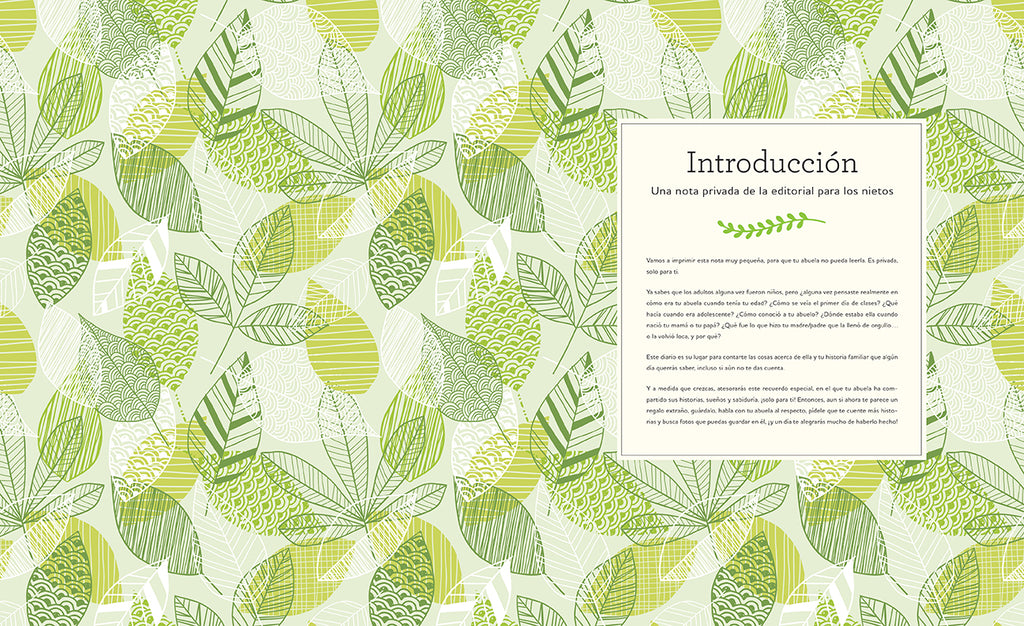 Diario de una abuela