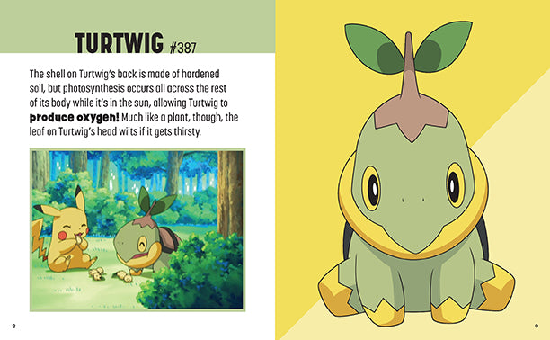Pokemon: Trainer's Mini Exploration Guide to Sinnoh